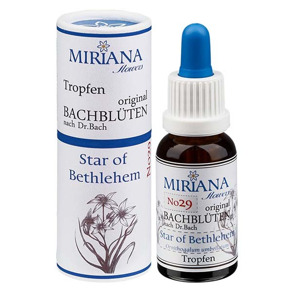 Star of Bethlehem Bachblüten Essenz (Doldiger Milchstern) 20ml